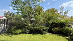 Seaside Park (D15), Semi-Detached #579047651